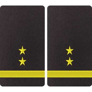 GRADE MAISTRU MILITAR 3 - FORTE NAVALE